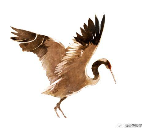 【S0522】【素材】古风仙鹤丹顶鹤中国风古典元素图片装饰PNG免扣透明设计素材