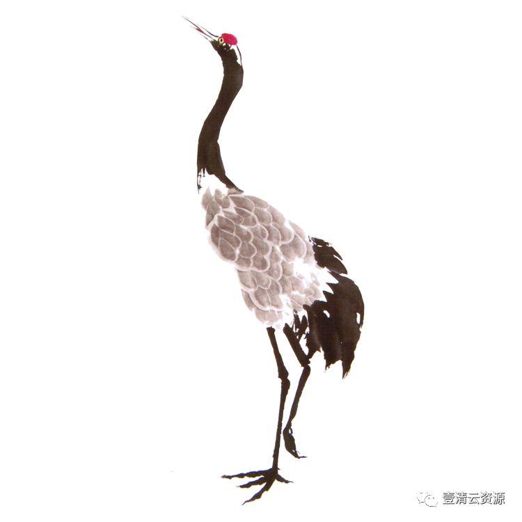 【S0522】【素材】古风仙鹤丹顶鹤中国风古典元素图片装饰PNG免扣透明设计素材