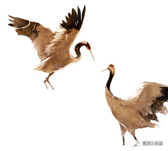 【S0522】【素材】古风仙鹤丹顶鹤中国风古典元素图片装饰PNG免扣透明设计素材