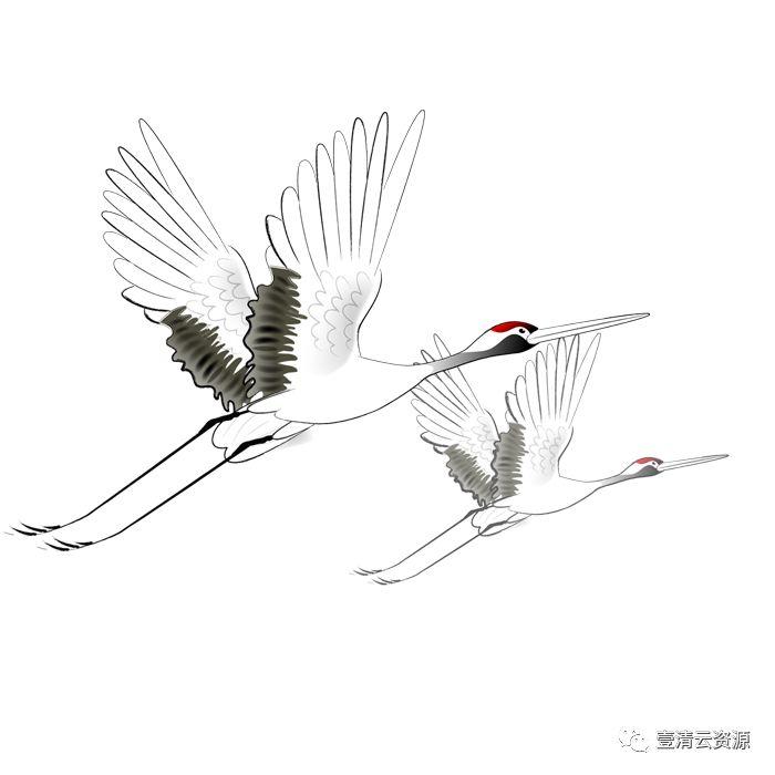 【S0522】【素材】古风仙鹤丹顶鹤中国风古典元素图片装饰PNG免扣透明设计素材