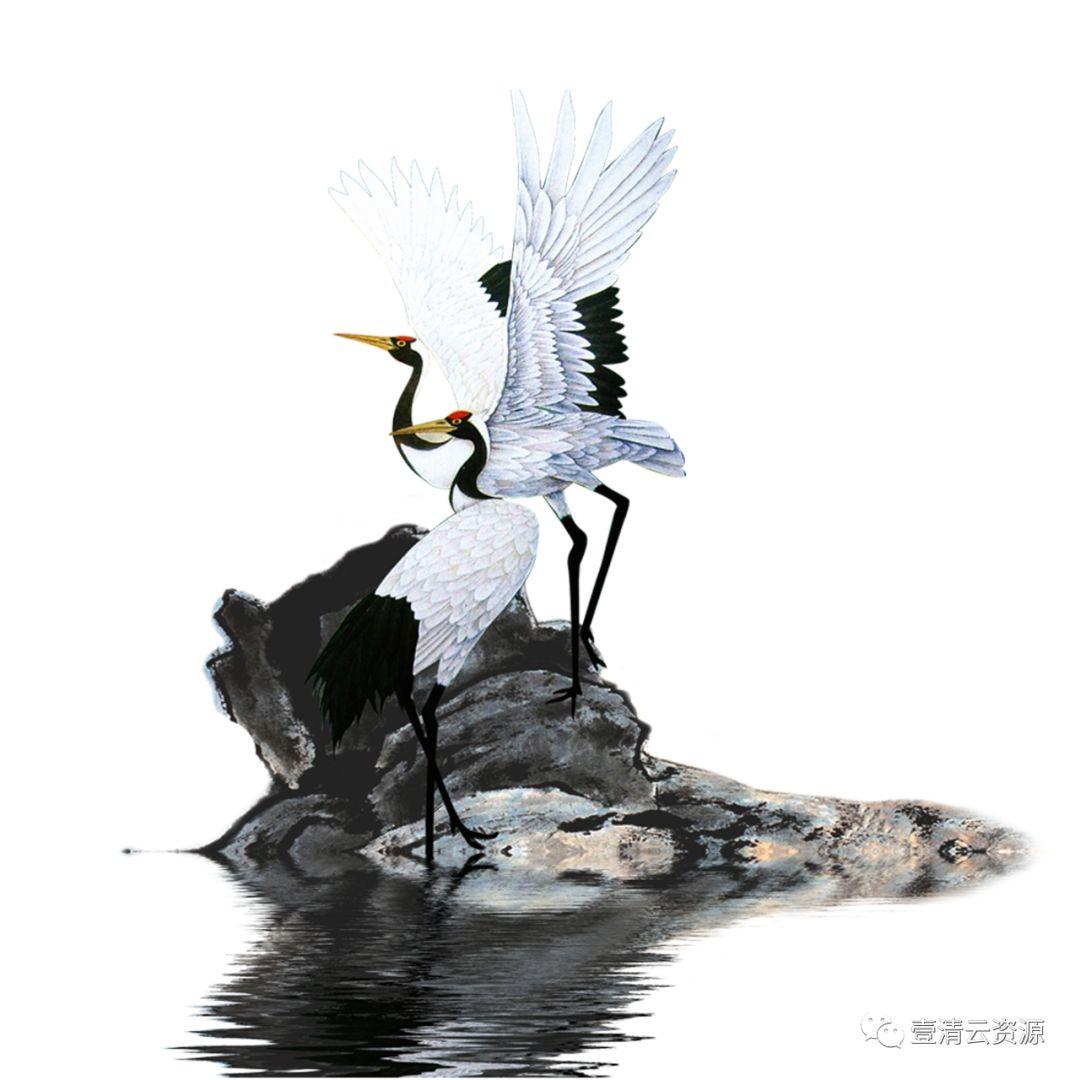 【S0523】【素材】仙鹤丹顶白鹤飞鹤PS古风效果图素材工笔画PNG免抠图高清透明二