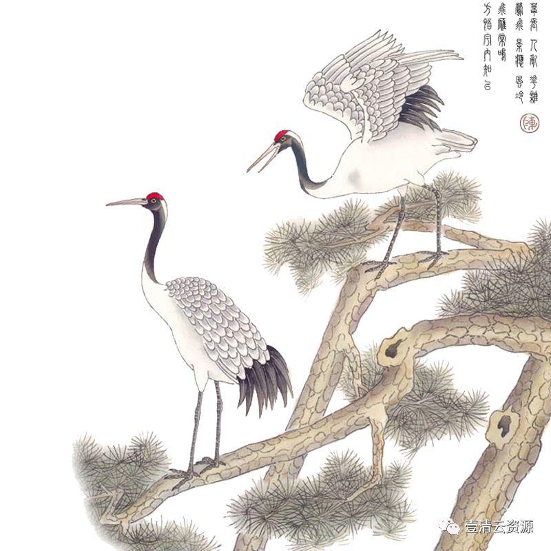 【S0523】【素材】仙鹤丹顶白鹤飞鹤PS古风效果图素材工笔画PNG免抠图高清透明二