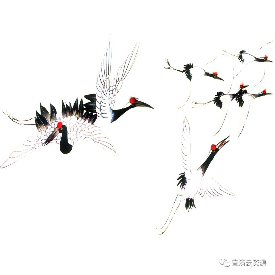 【S0523】【素材】仙鹤丹顶白鹤飞鹤PS古风效果图素材工笔画PNG免抠图高清透明二