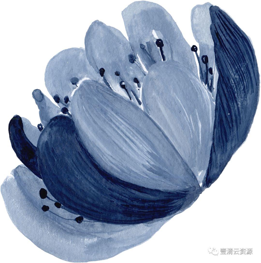【S0524】【素材】水彩手绘靛蓝色花卉PNG免抠图金色边框JPG晕染PS素材