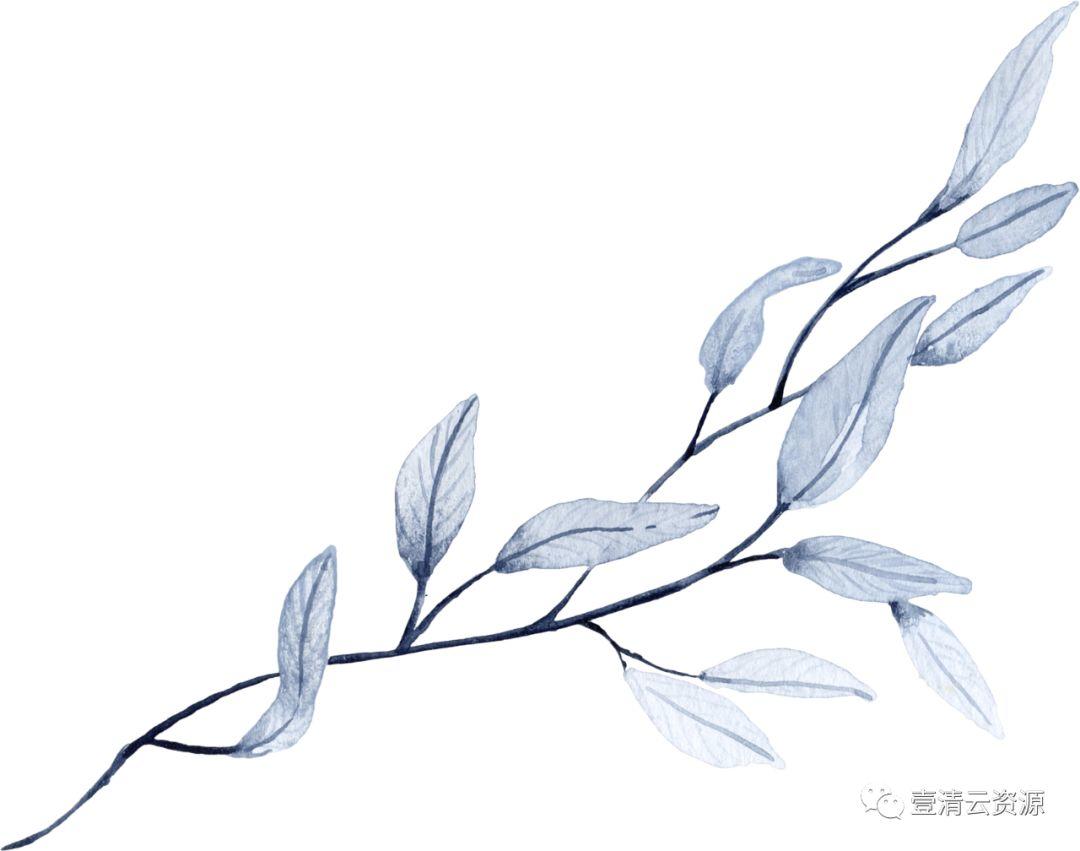 【S0524】【素材】水彩手绘靛蓝色花卉PNG免抠图金色边框JPG晕染PS素材