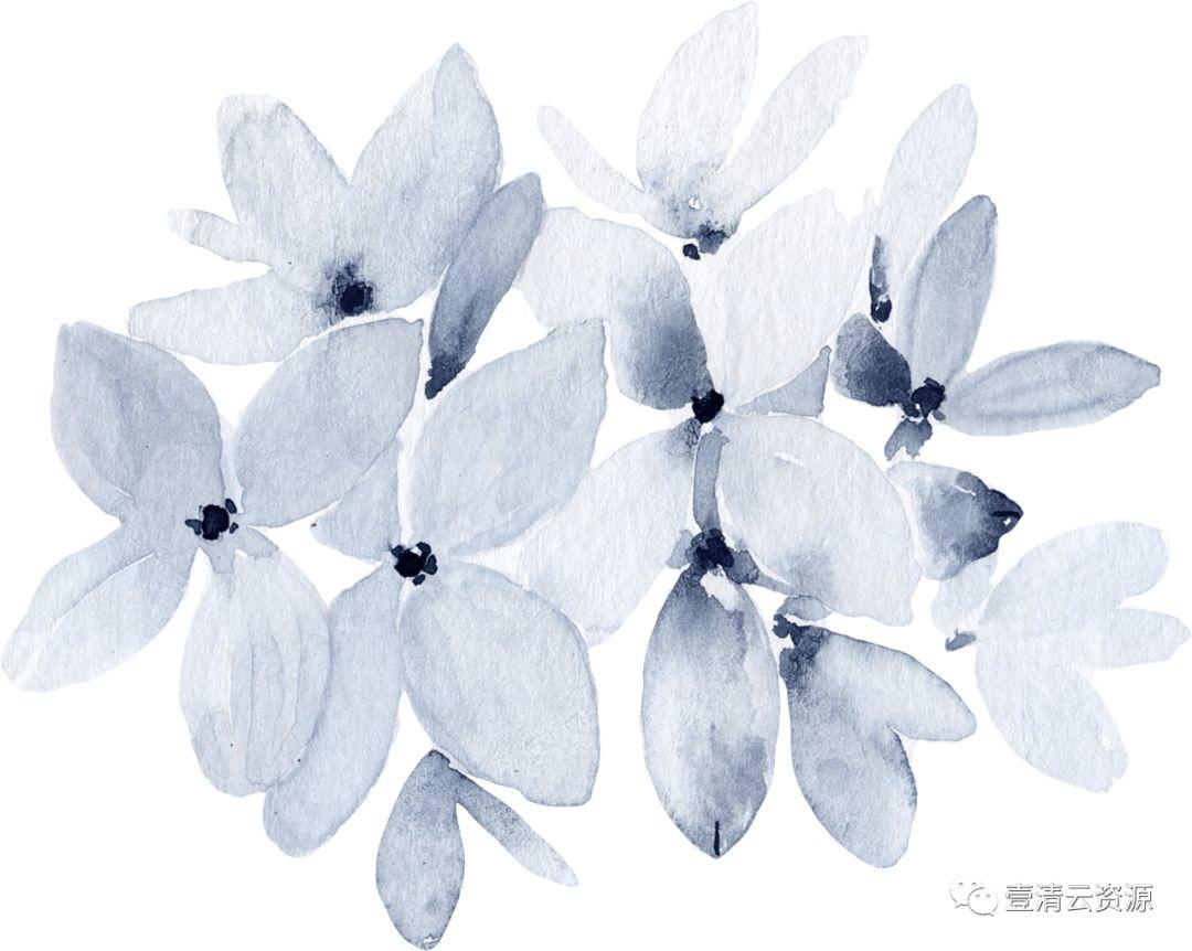 【S0524】【素材】水彩手绘靛蓝色花卉PNG免抠图金色边框JPG晕染PS素材