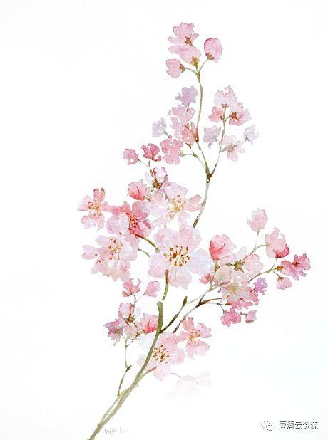 【S0533】【素材】桃花复古插画花瓣花朵枝叶雨伞油画PNG免抠设计素材源文件
