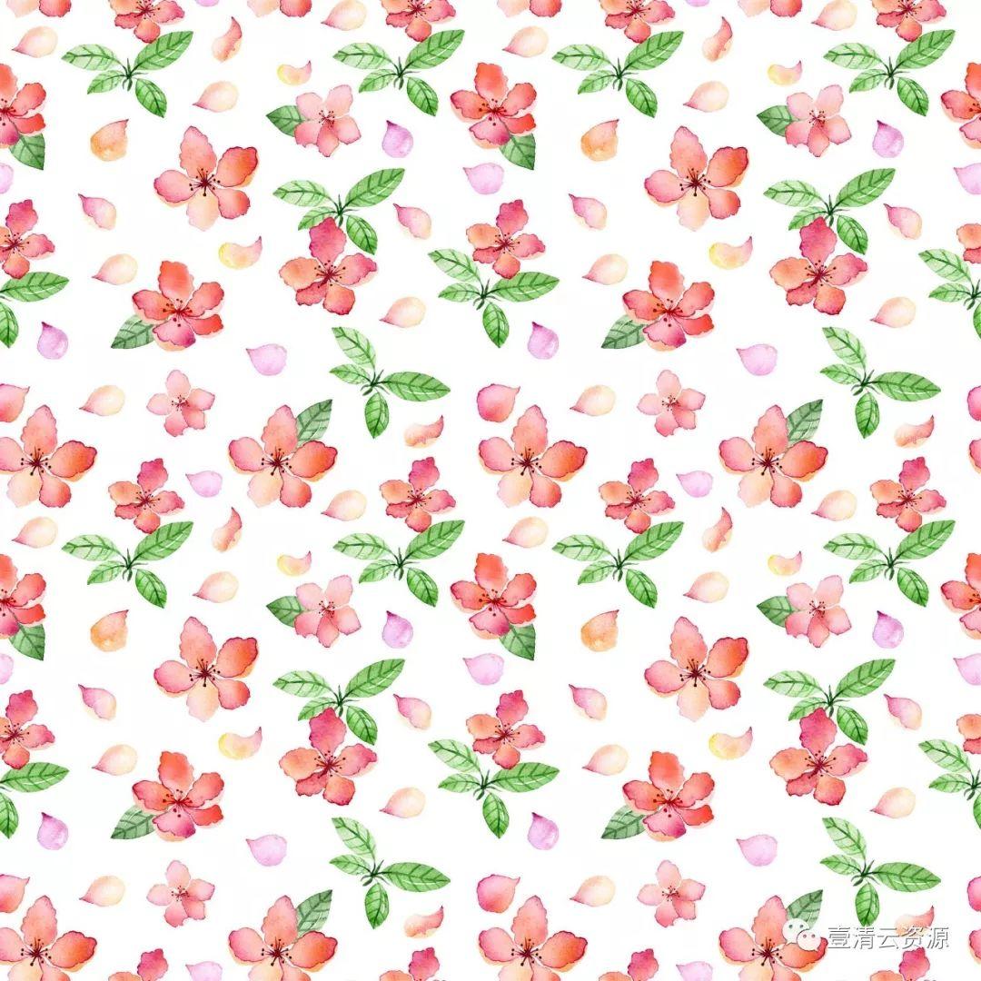 【S0534】【素材】欧美平铺花朵水彩画风格枝叶花背景JPG设计素材源文件