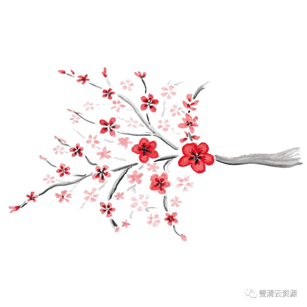 【S0541】【素材】和风手绘水墨樱花PNG PSD设计素材源文件