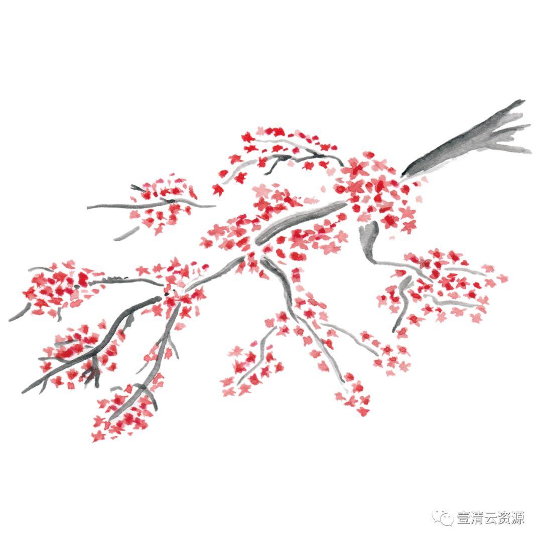 【S0541】【素材】和风手绘水墨樱花PNG PSD设计素材源文件