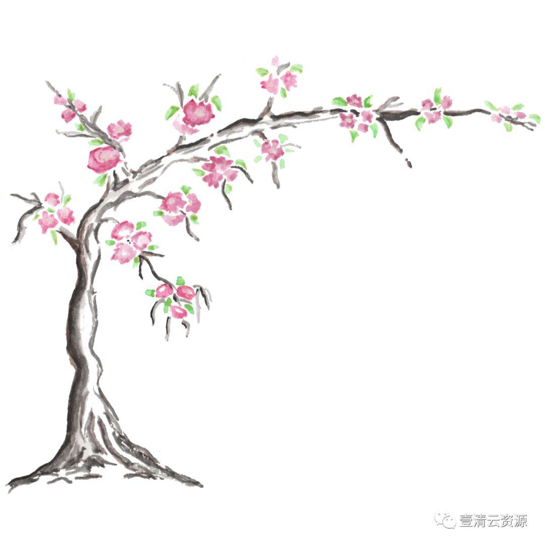 【S0541】【素材】和风手绘水墨樱花PNG PSD设计素材源文件