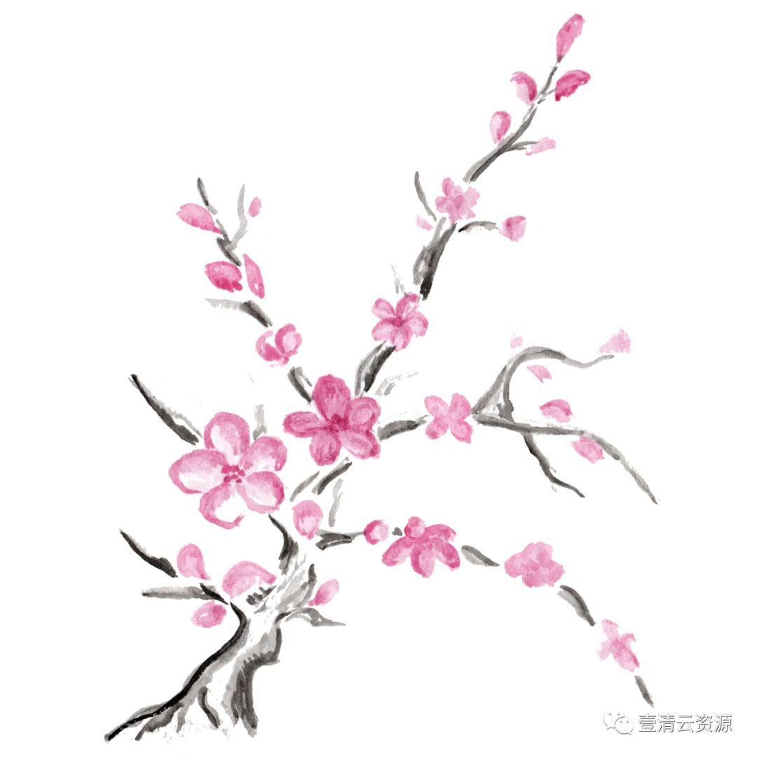 【S0541】【素材】和风手绘水墨樱花PNG PSD设计素材源文件