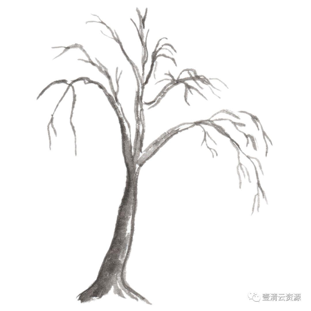 【S0541】【素材】和风手绘水墨樱花PNG PSD设计素材源文件