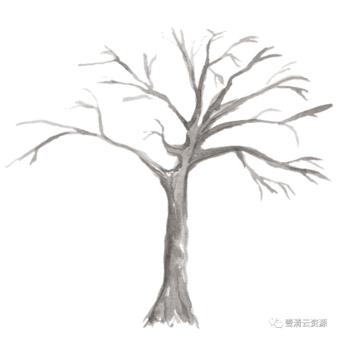 【S0541】【素材】和风手绘水墨樱花PNG PSD设计素材源文件