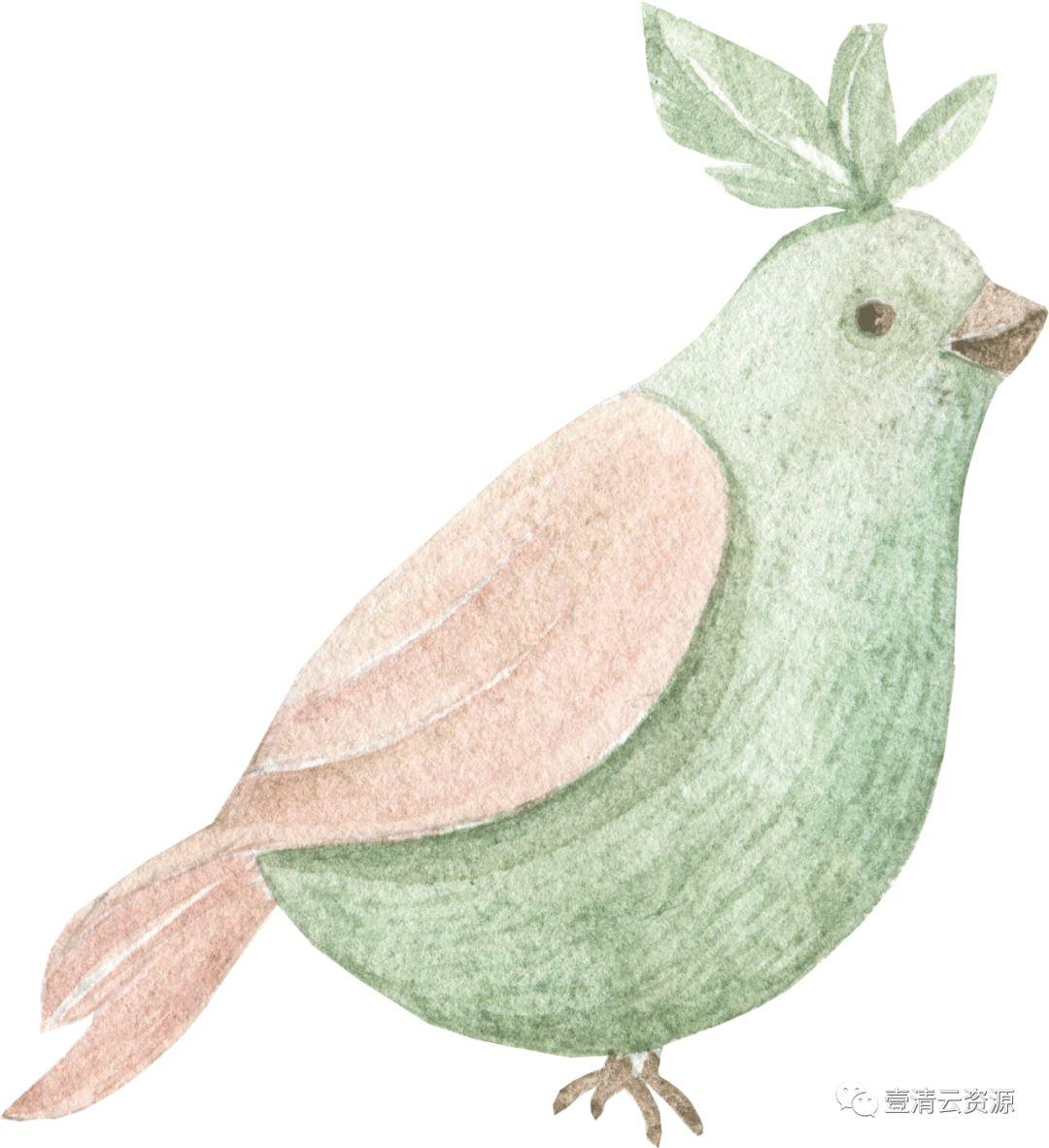 【S0546】【素材】水彩森林动物宝贝水彩插画PNG免抠设计素材源文件