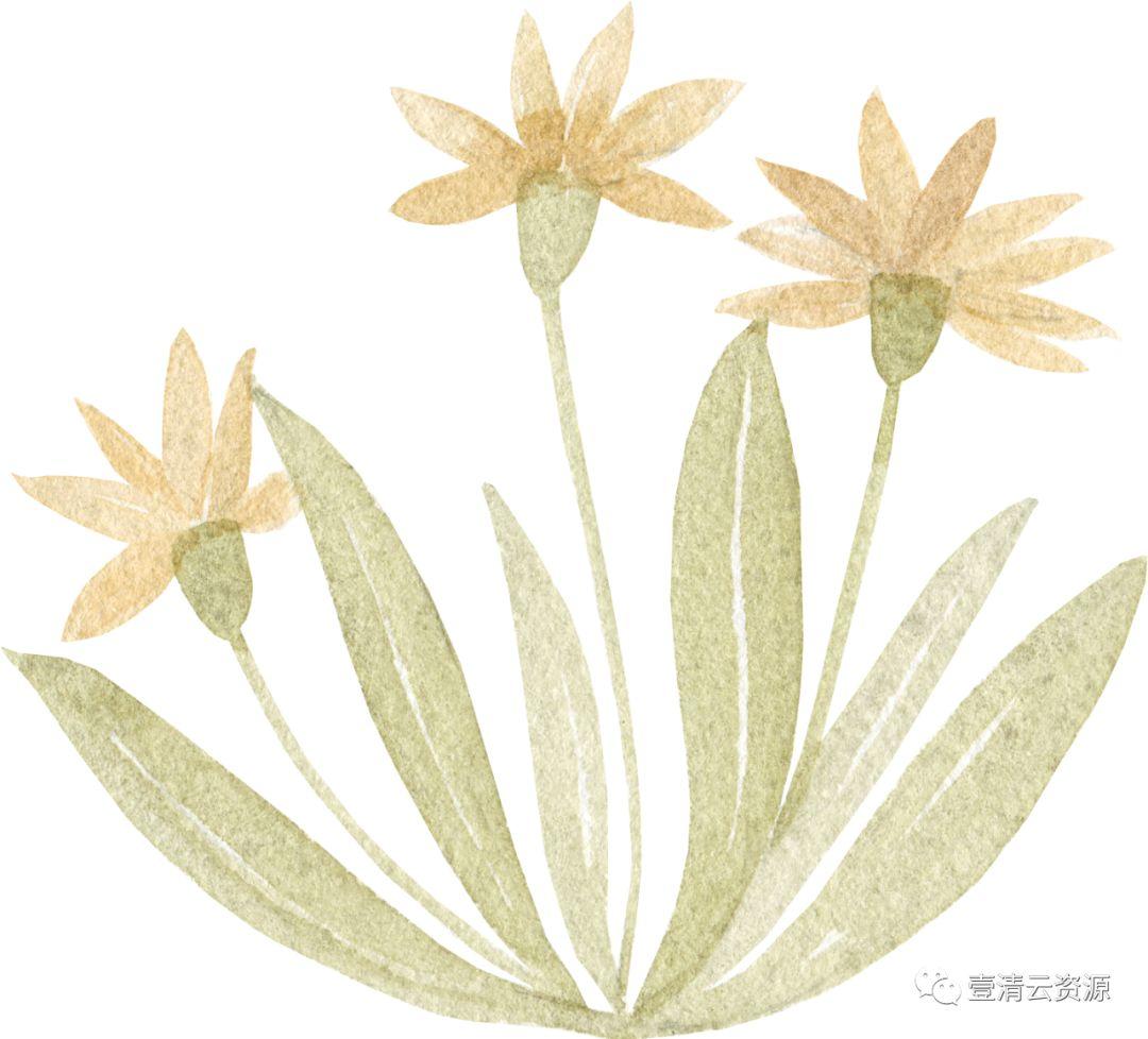 【S0546】【素材】水彩森林动物宝贝水彩插画PNG免抠设计素材源文件