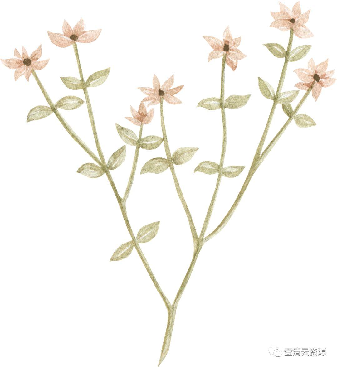 【S0546】【素材】水彩森林动物宝贝水彩插画PNG免抠设计素材源文件