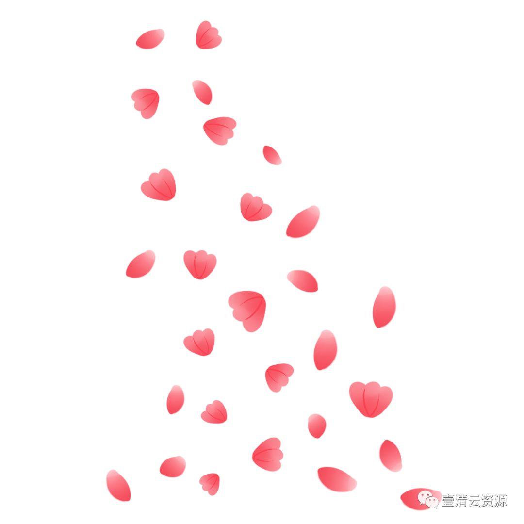【S0550】【素材】唯美飘落红色粉色花瓣掉落PNG免抠设计素材源文件