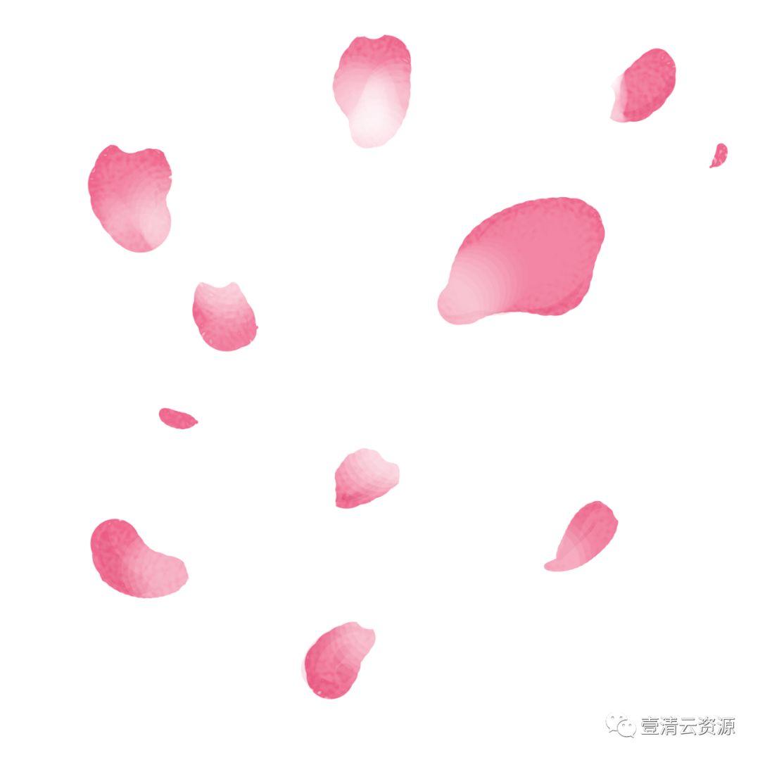 【S0550】【素材】唯美飘落红色粉色花瓣掉落PNG免抠设计素材源文件