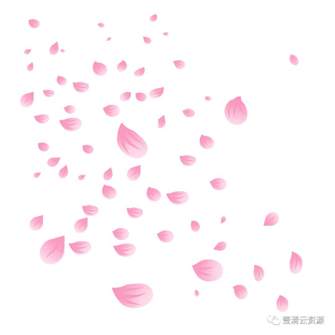【S0550】【素材】唯美飘落红色粉色花瓣掉落PNG免抠设计素材源文件