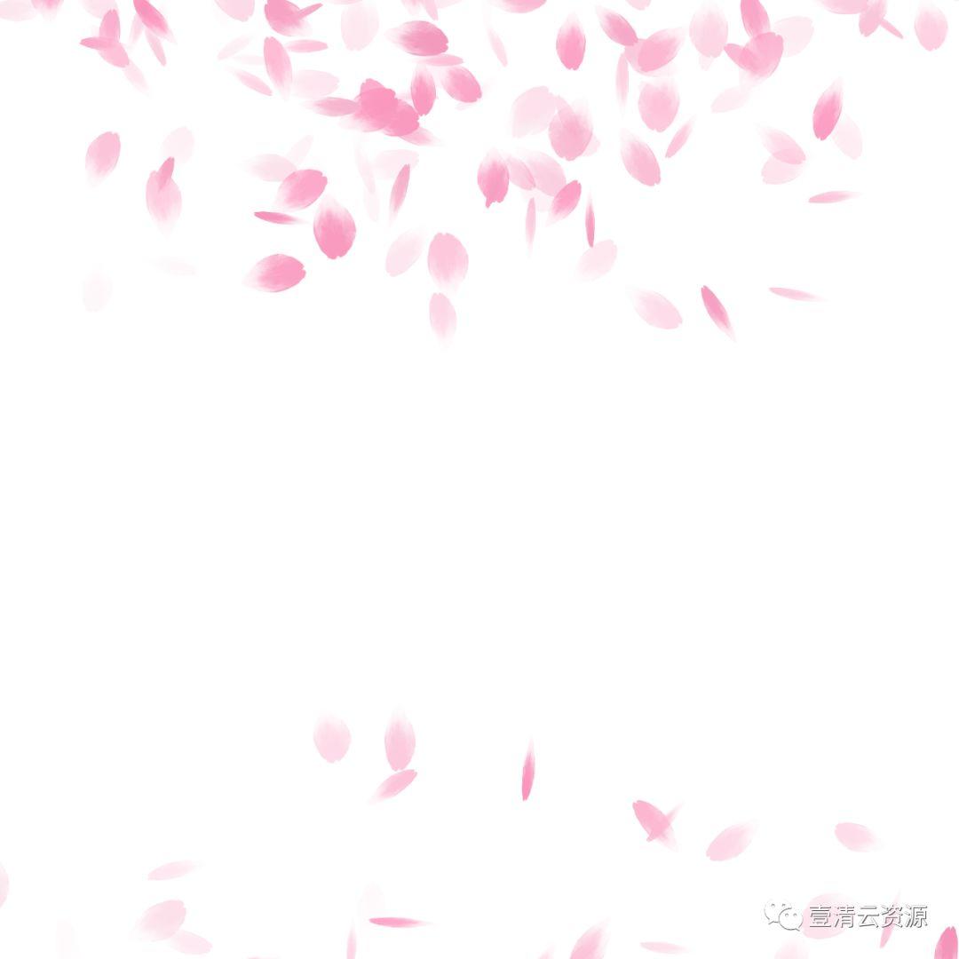 【S0550】【素材】唯美飘落红色粉色花瓣掉落PNG免抠设计素材源文件