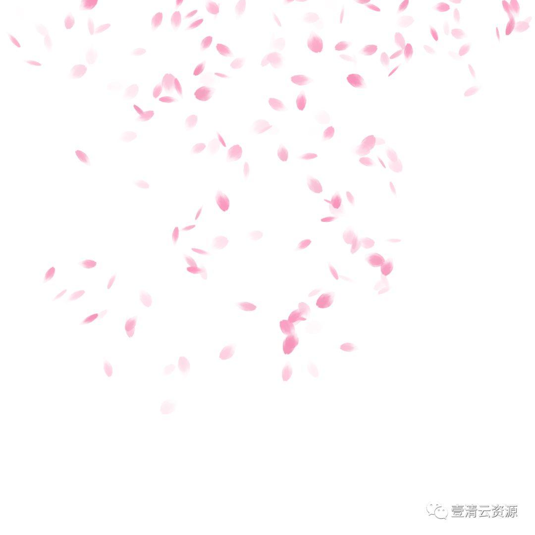 【S0550】【素材】唯美飘落红色粉色花瓣掉落PNG免抠设计素材源文件
