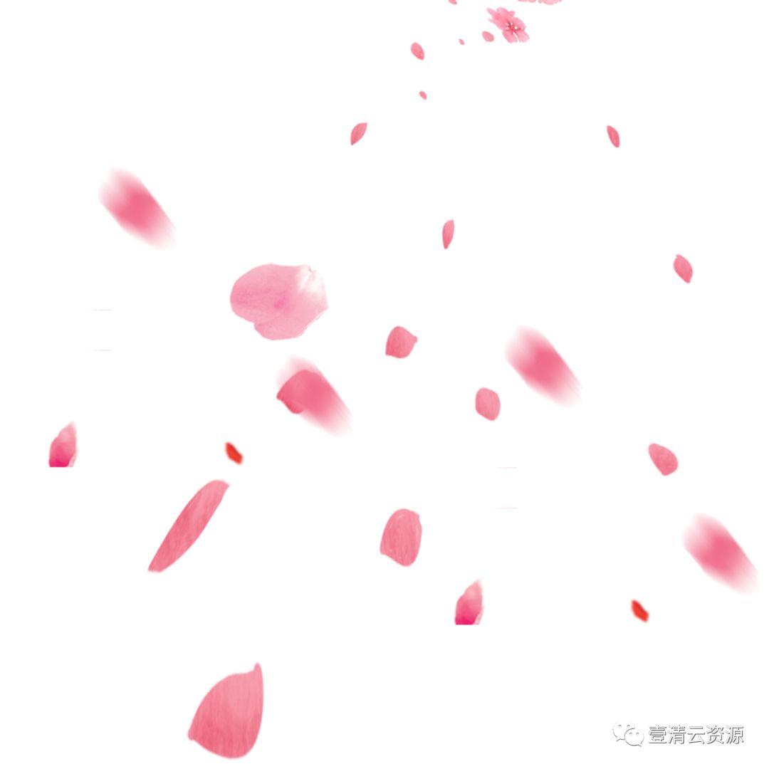 【S0550】【素材】唯美飘落红色粉色花瓣掉落PNG免抠设计素材源文件
