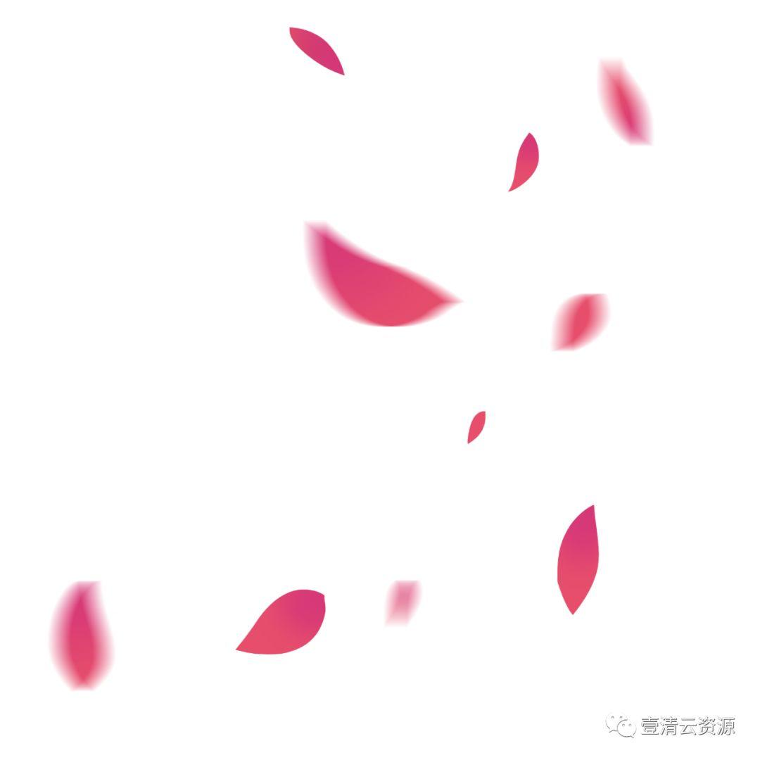 【S0550】【素材】唯美飘落红色粉色花瓣掉落PNG免抠设计素材源文件