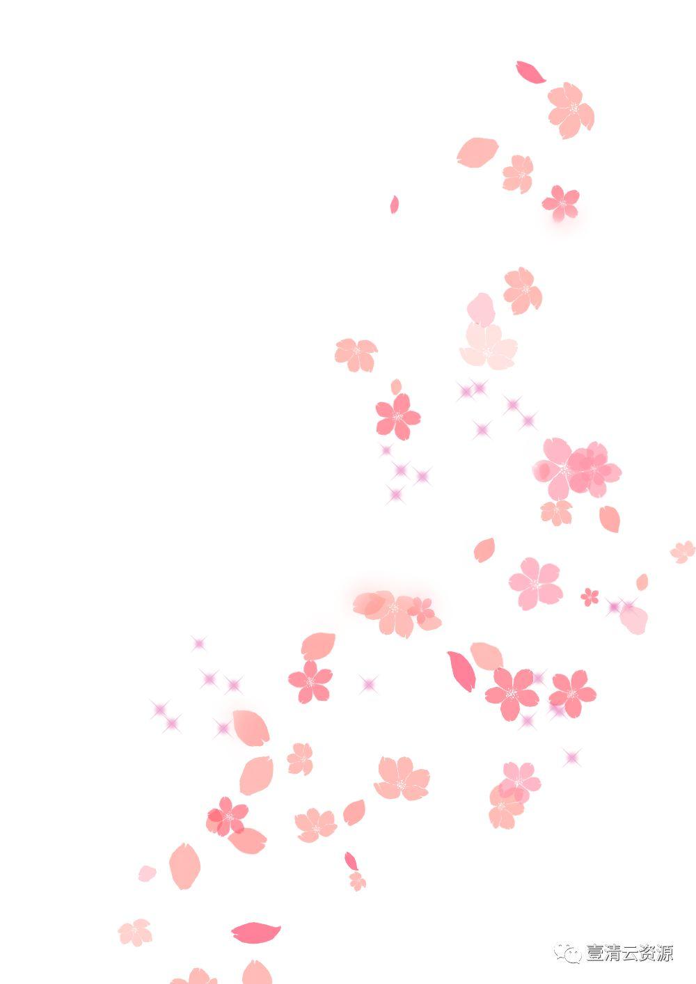 【S0550】【素材】唯美飘落红色粉色花瓣掉落PNG免抠设计素材源文件