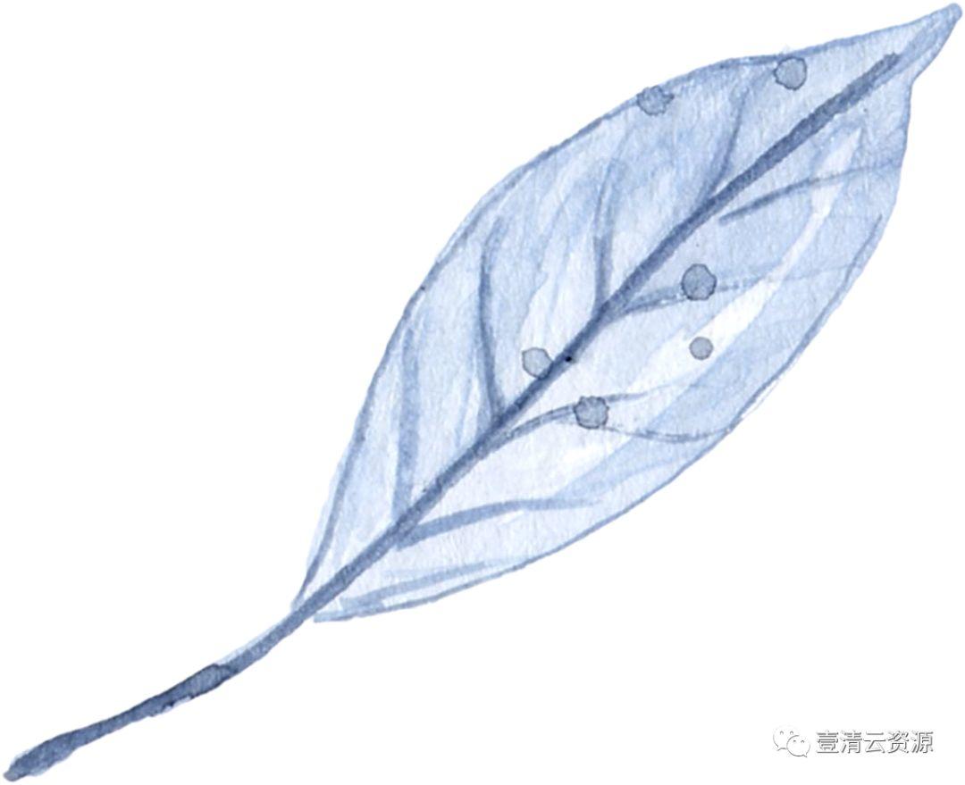 【S0624】【素材】海军蓝金线水彩花卉PNG设计素材源文件
