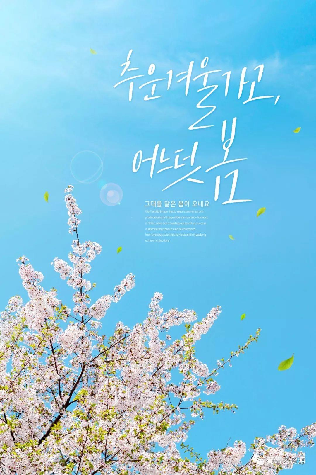 【S0708】【素材】11款立春春夏植物鲜花油菜花蓝天桃花唯美植物海报PSD设计素材
