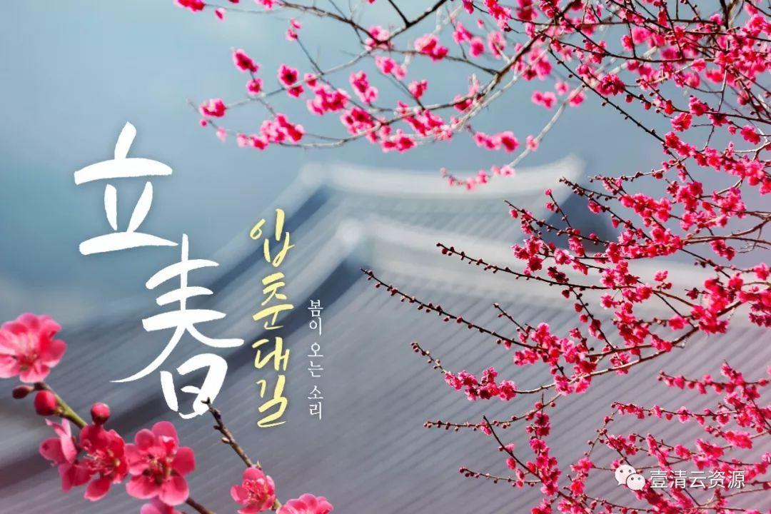 【S0708】【素材】11款立春春夏植物鲜花油菜花蓝天桃花唯美植物海报PSD设计素材