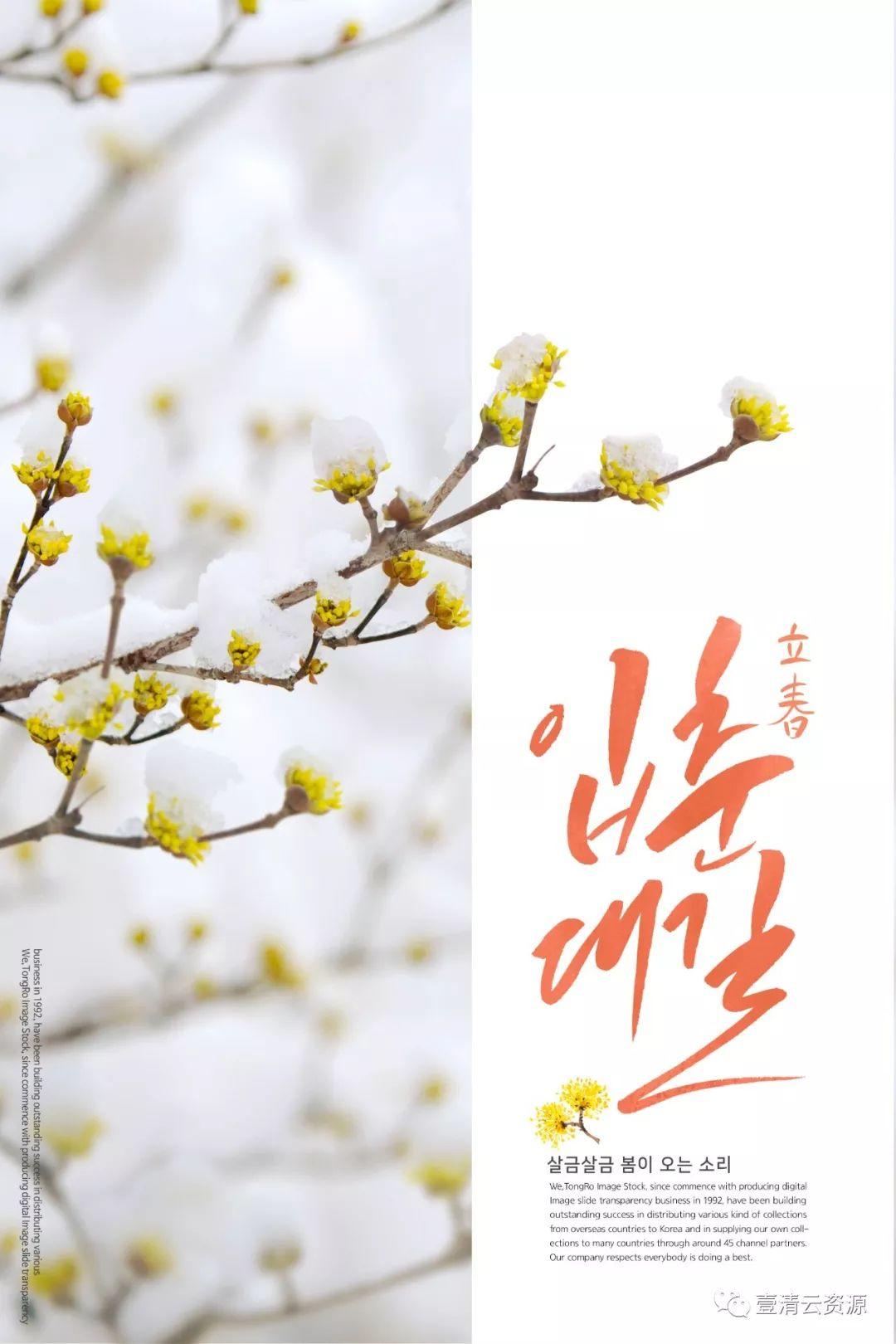 【S0708】【素材】11款立春春夏植物鲜花油菜花蓝天桃花唯美植物海报PSD设计素材