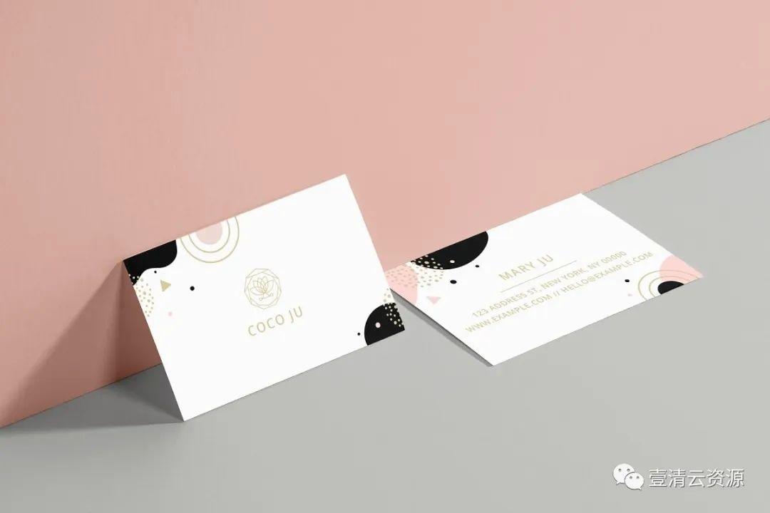 【S0727】【素材】COCO时尚企业品牌套装设计模板JPG INDD设计素材源文件
