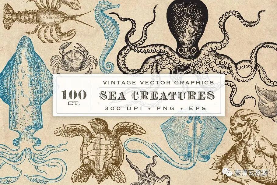 【S0741】【素材】海洋生物旧书插画集EPS PNG 设计素材源文件