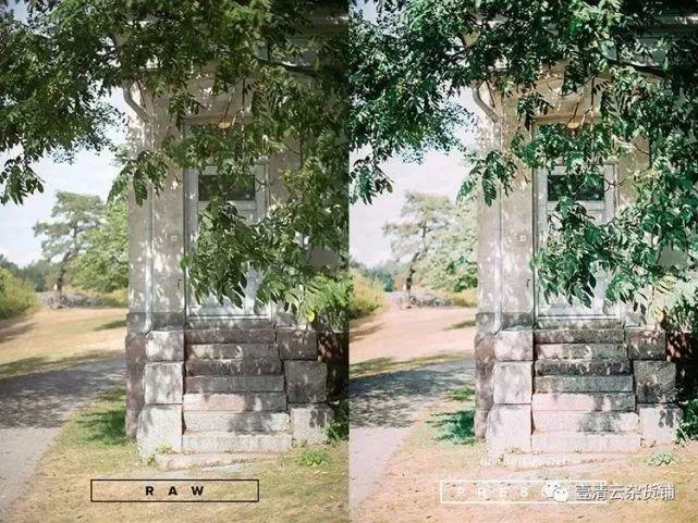 【Y010】【预设】LR预设清新文艺日系森系滤镜PRPSFCPX达芬奇AELut预设