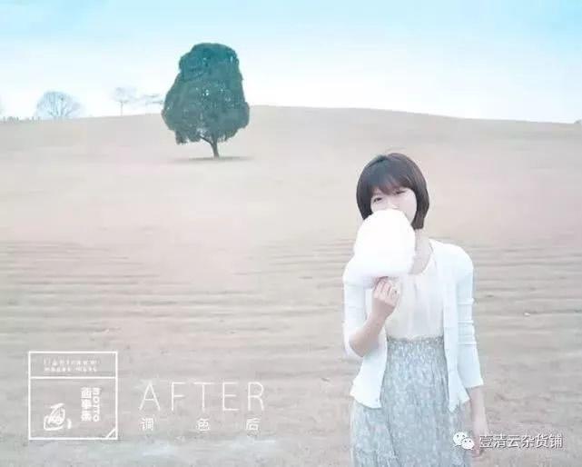 【Y011】【预设】LR预设清新日系森系调色滤镜PRPSFCPX达芬奇AELUT预设