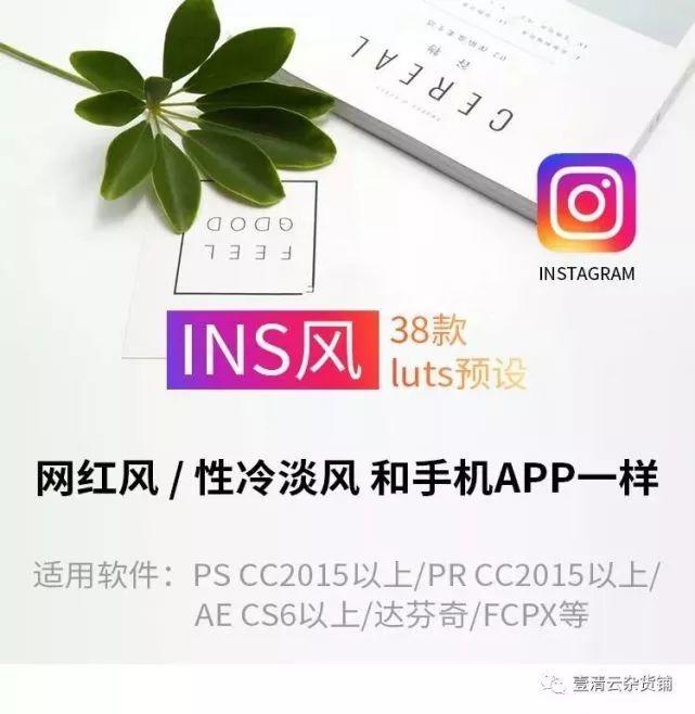 【Y013】【预设】INS风网红调色ps预设性冷淡风滤镜LUT预设 PRAE达芬奇FCPX