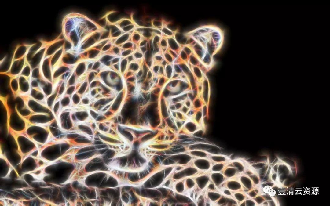 【C004】【插件】PS特效滤镜“线之绘”插件Win/Mac