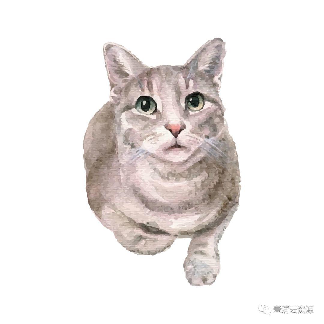 【S0796】【素材】水彩手绘猫咪PNG素材源文件