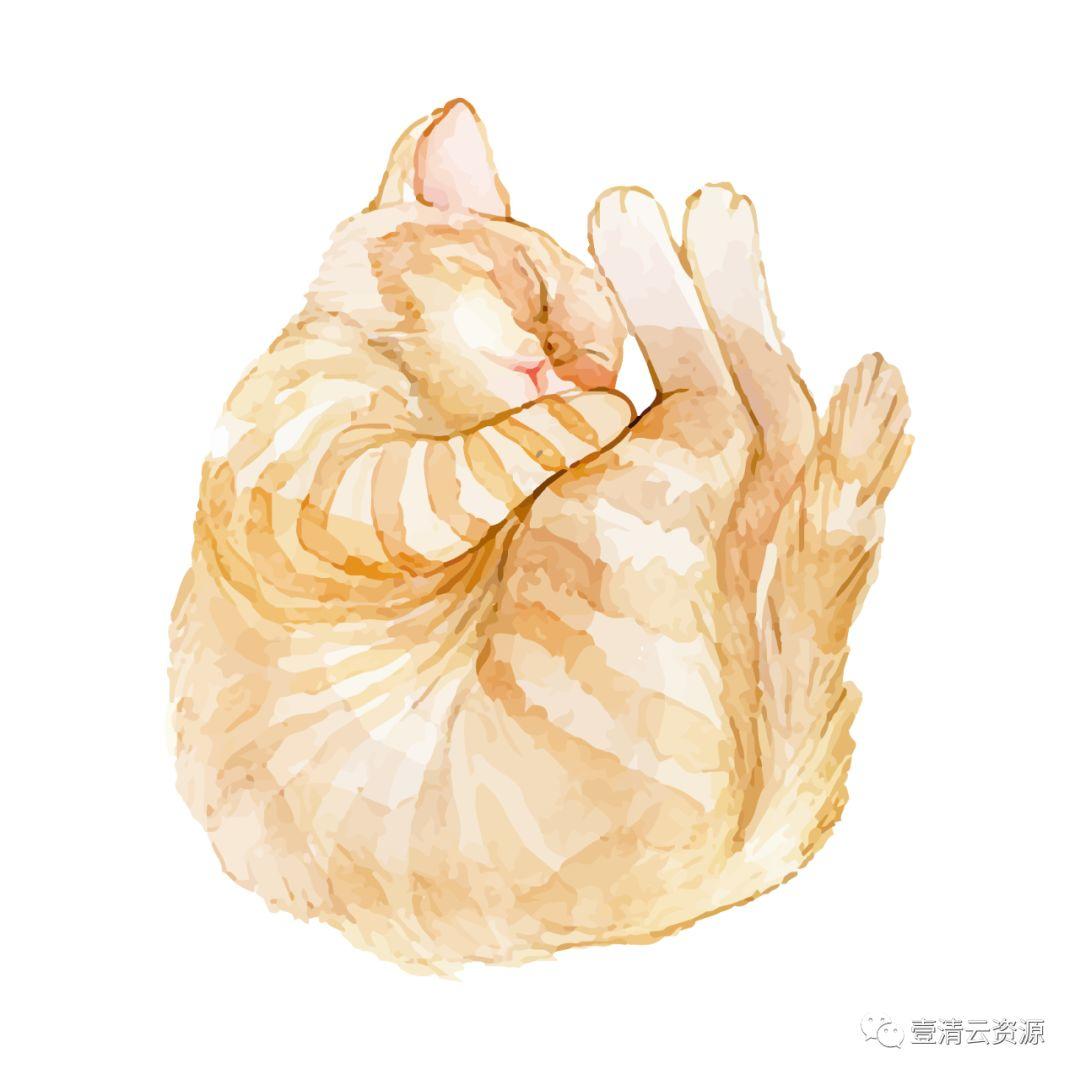【S0796】【素材】水彩手绘猫咪PNG素材源文件