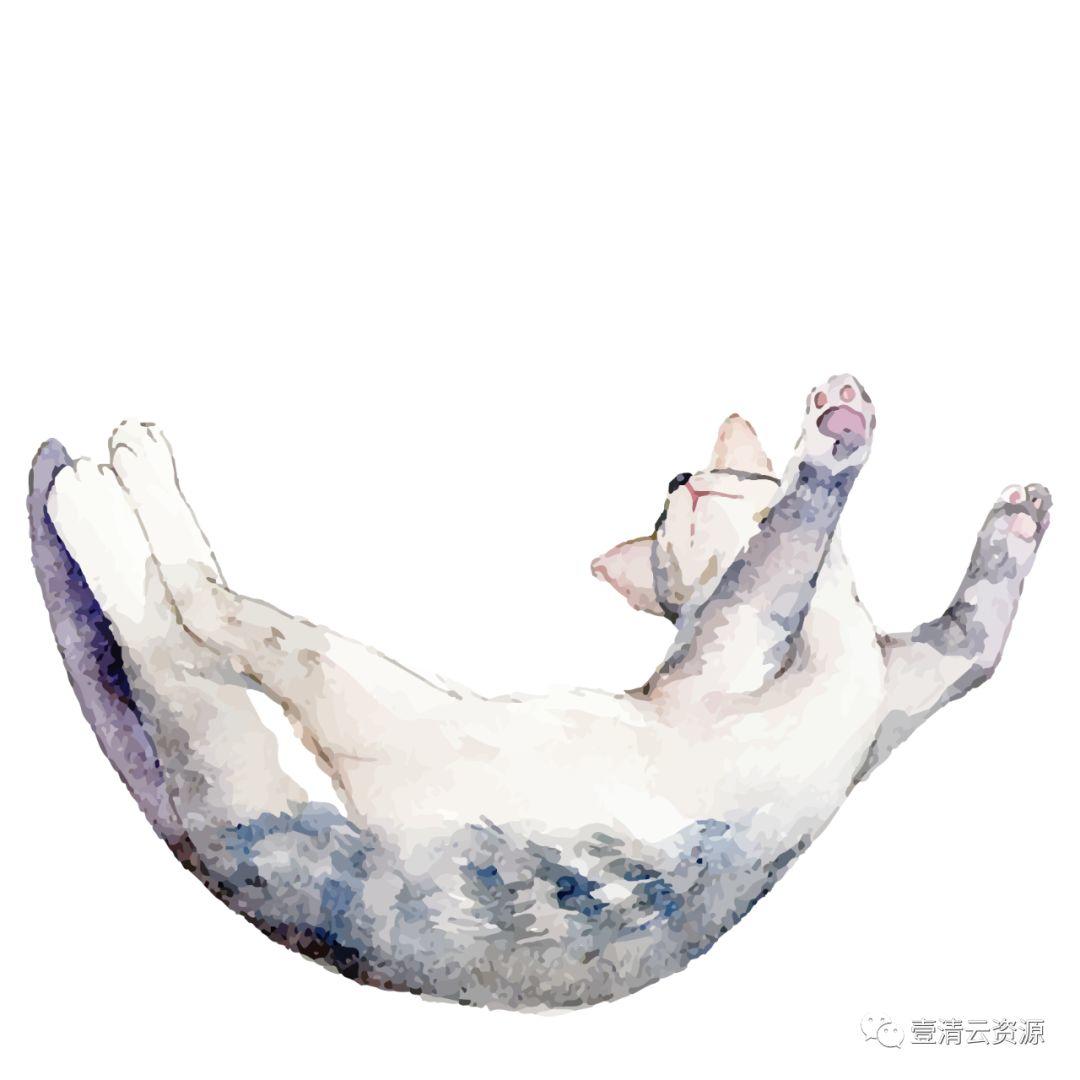 【S0796】【素材】水彩手绘猫咪PNG素材源文件