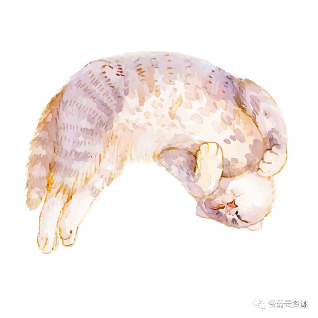 【S0796】【素材】水彩手绘猫咪PNG素材源文件