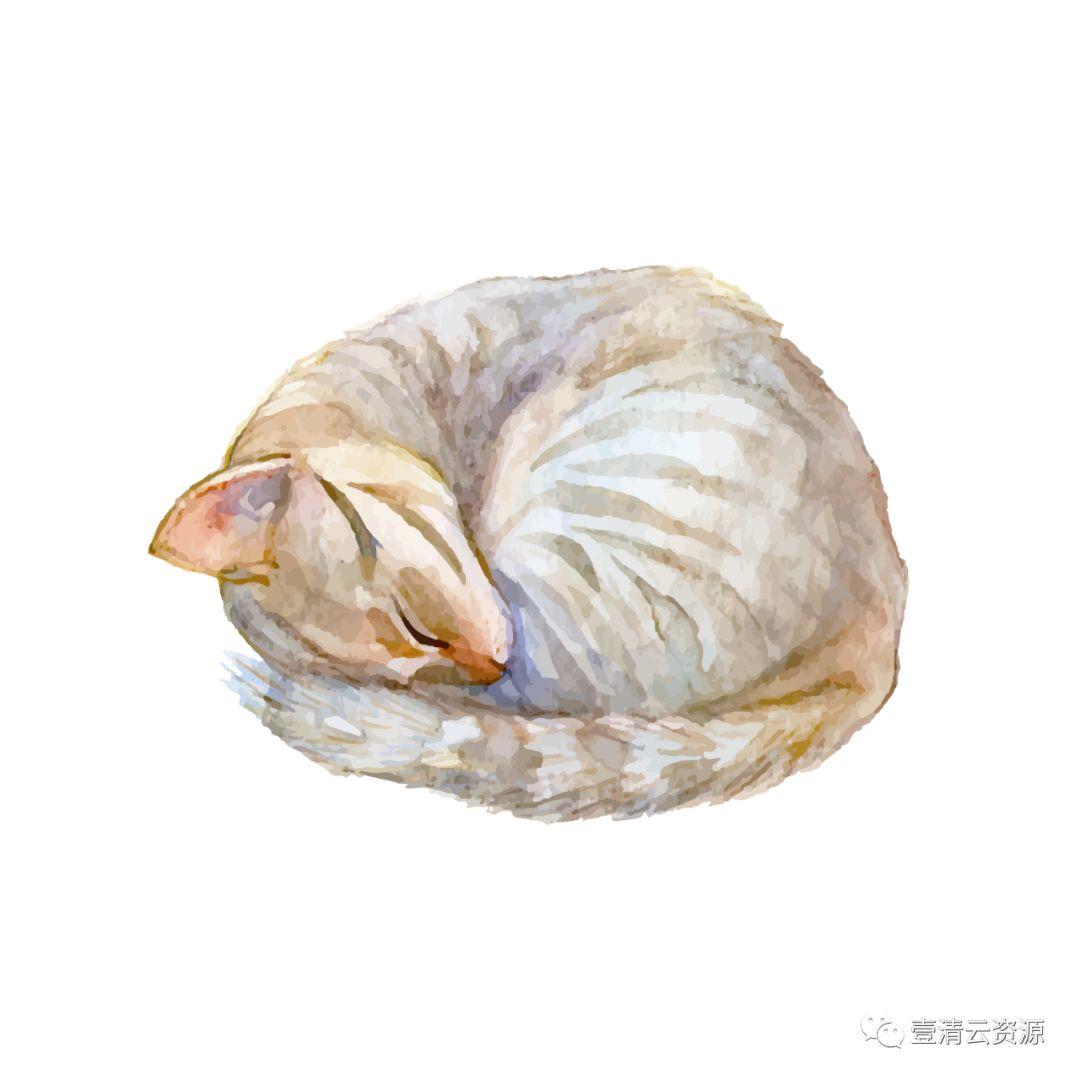 【S0796】【素材】水彩手绘猫咪PNG素材源文件