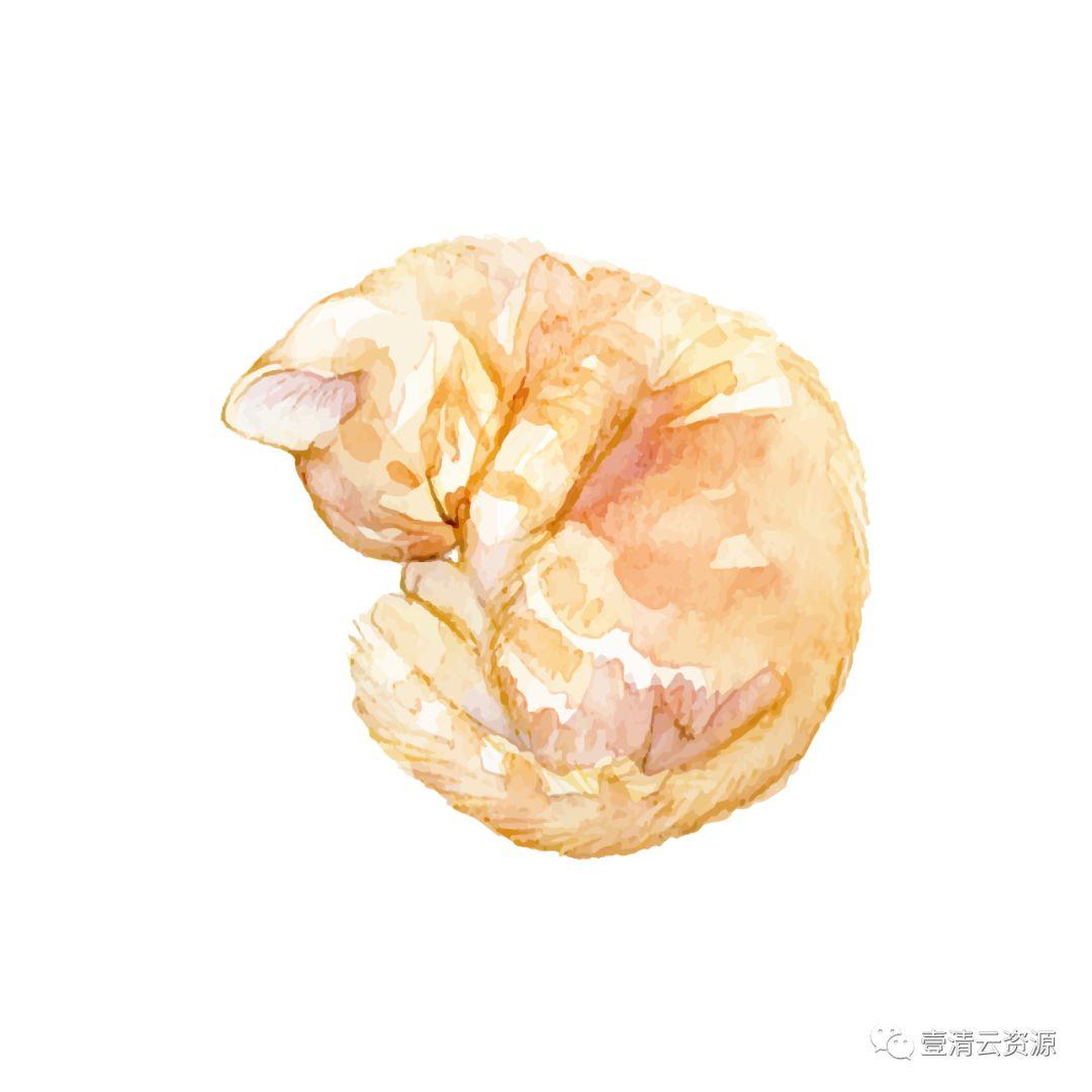 【S0796】【素材】水彩手绘猫咪PNG素材源文件
