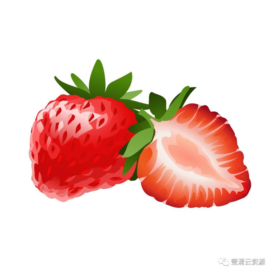 【S0798】【素材】夏季热带水果水彩手绘 PNG高清芒果西瓜火龙果 矢量设计素材