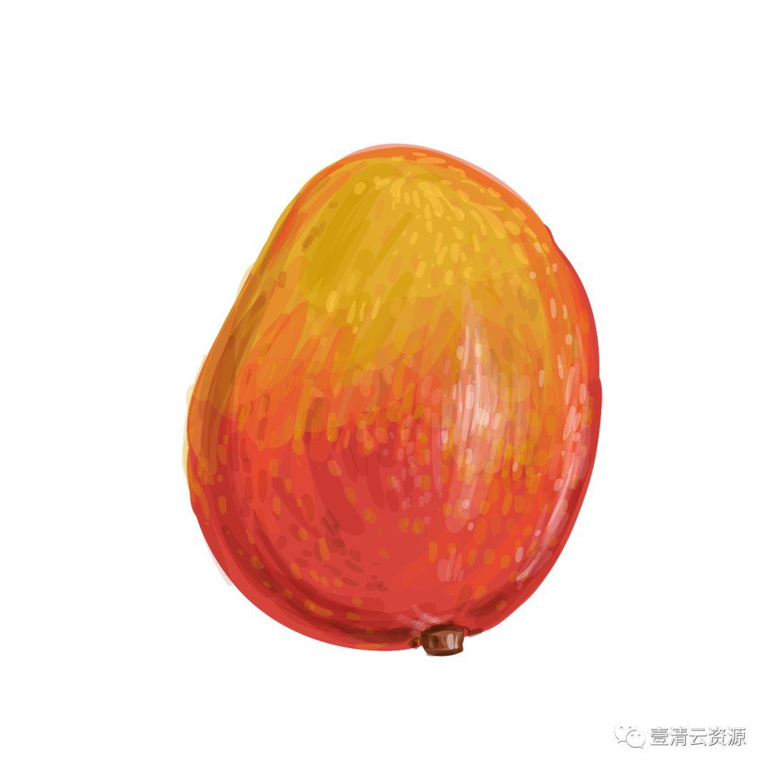 【S0798】【素材】夏季热带水果水彩手绘 PNG高清芒果西瓜火龙果 矢量设计素材
