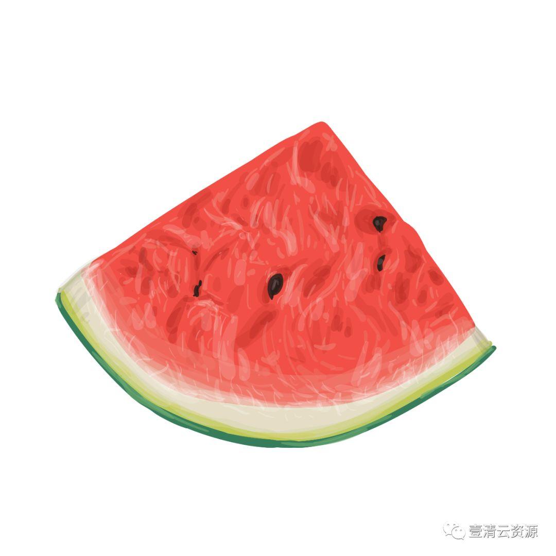 【S0798】【素材】夏季热带水果水彩手绘 PNG高清芒果西瓜火龙果 矢量设计素材