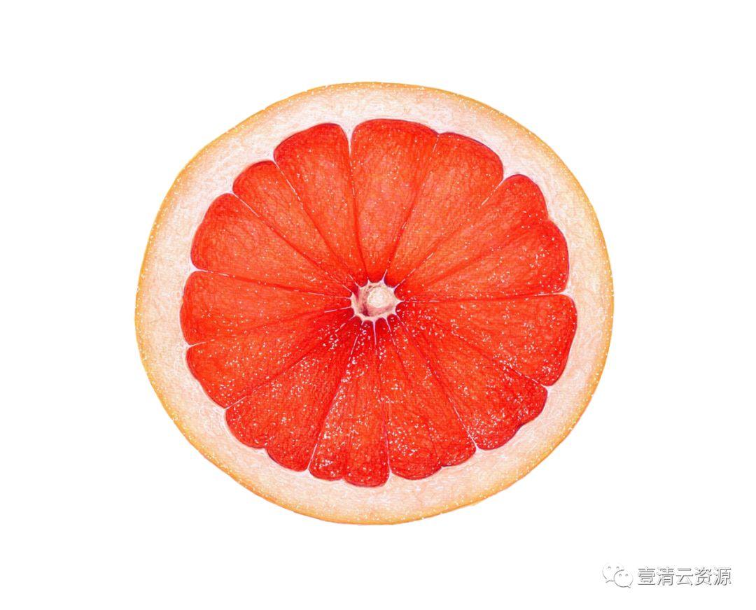 【S0798】【素材】夏季热带水果水彩手绘 PNG高清芒果西瓜火龙果 矢量设计素材
