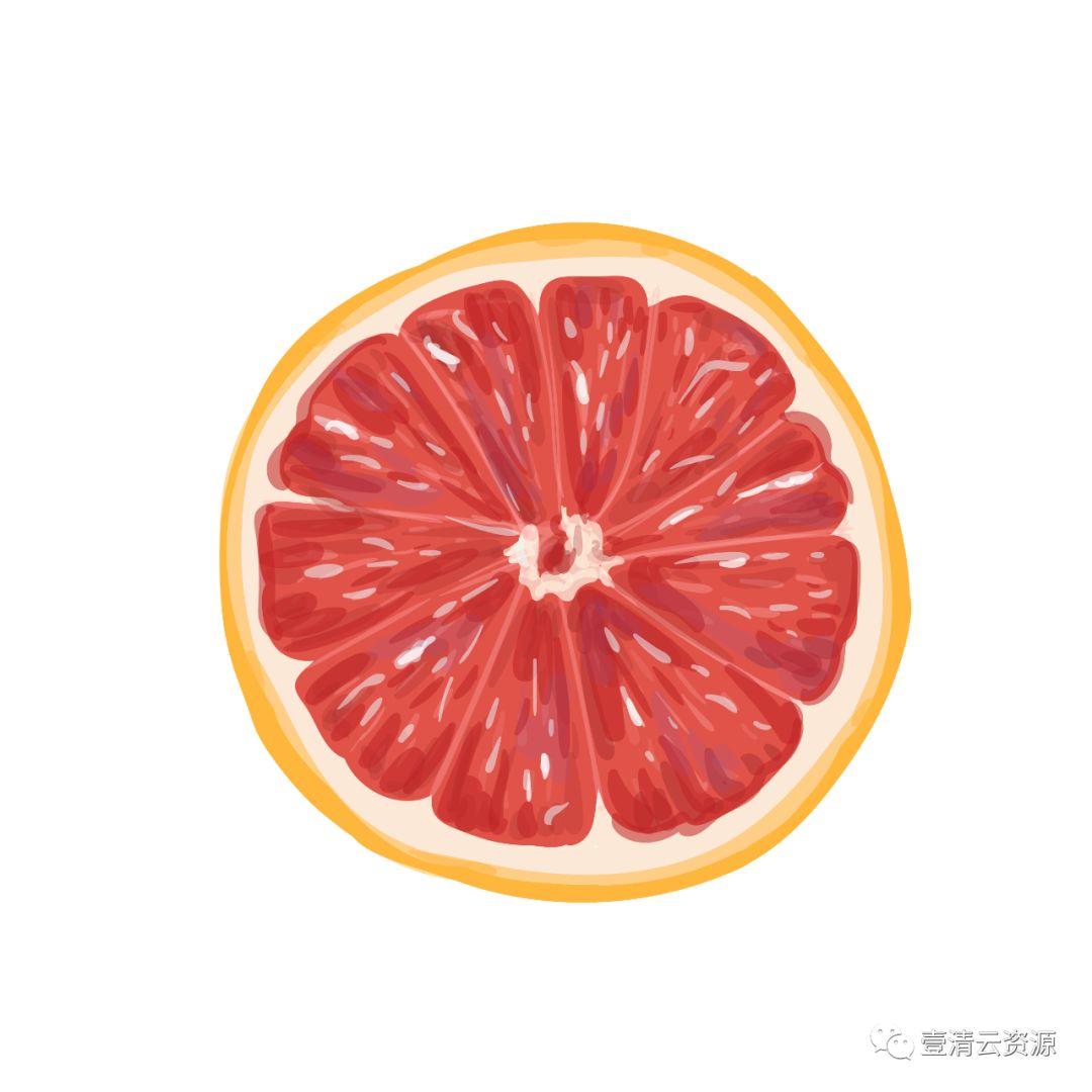 【S0798】【素材】夏季热带水果水彩手绘 PNG高清芒果西瓜火龙果 矢量设计素材